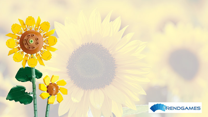 Sluban Blumen Titel