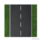 BRIXIES 225.005 Plus Designer Platte Straße Gerade 32 x 32 Noppen